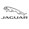 55.Jaguar